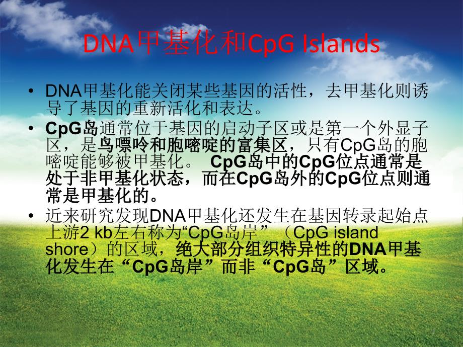 DNA 甲基化ppt课件.ppt_第4页