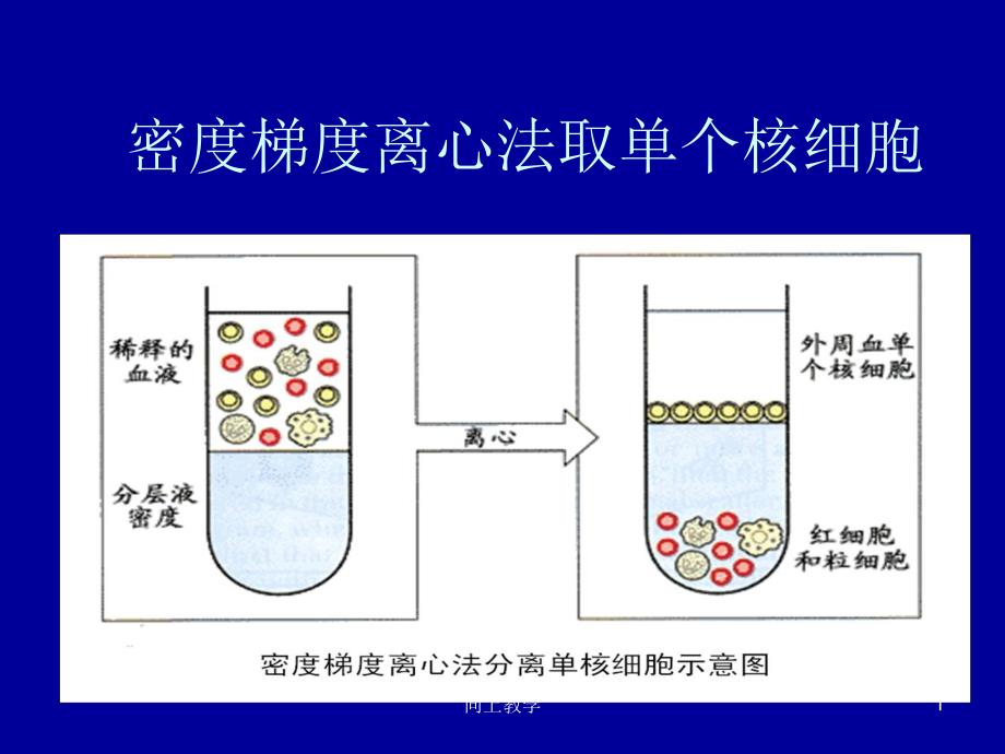 密度梯度离心法取单个核细胞具体方法【竹菊书苑】_第1页