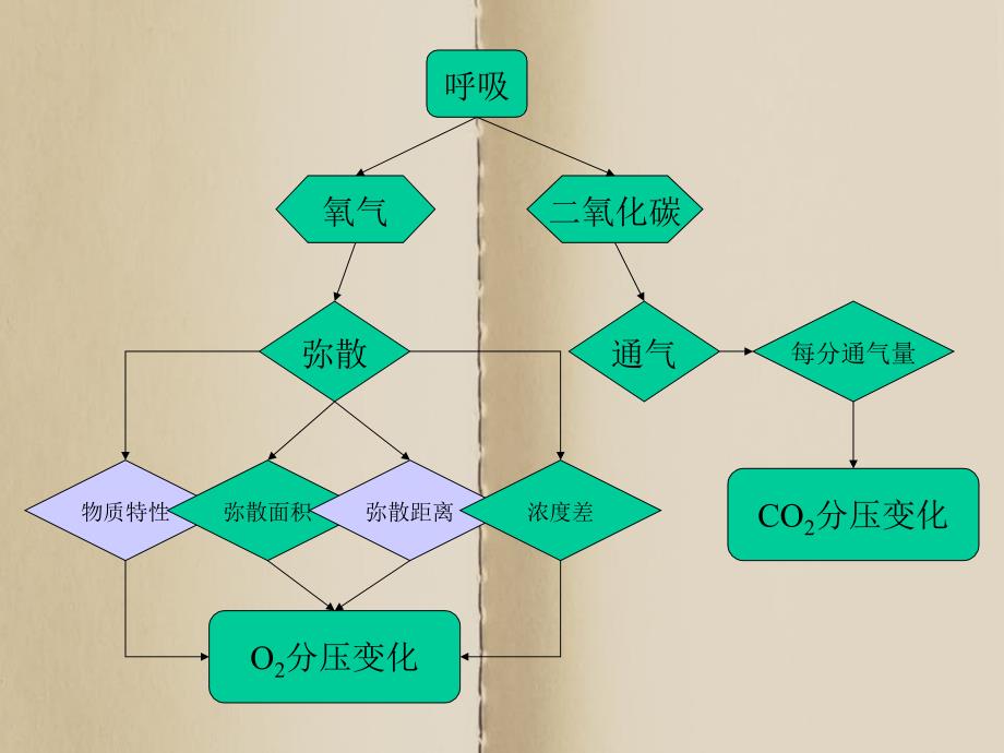 《呼吸机的临床应用》课件_第3页