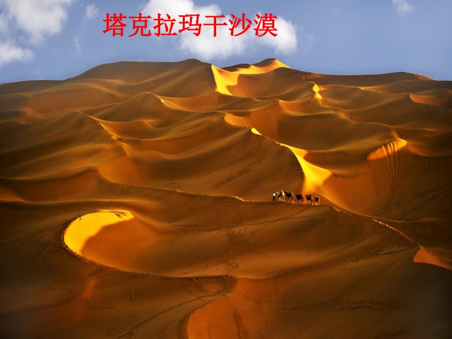 采访对象是棵树_第1页