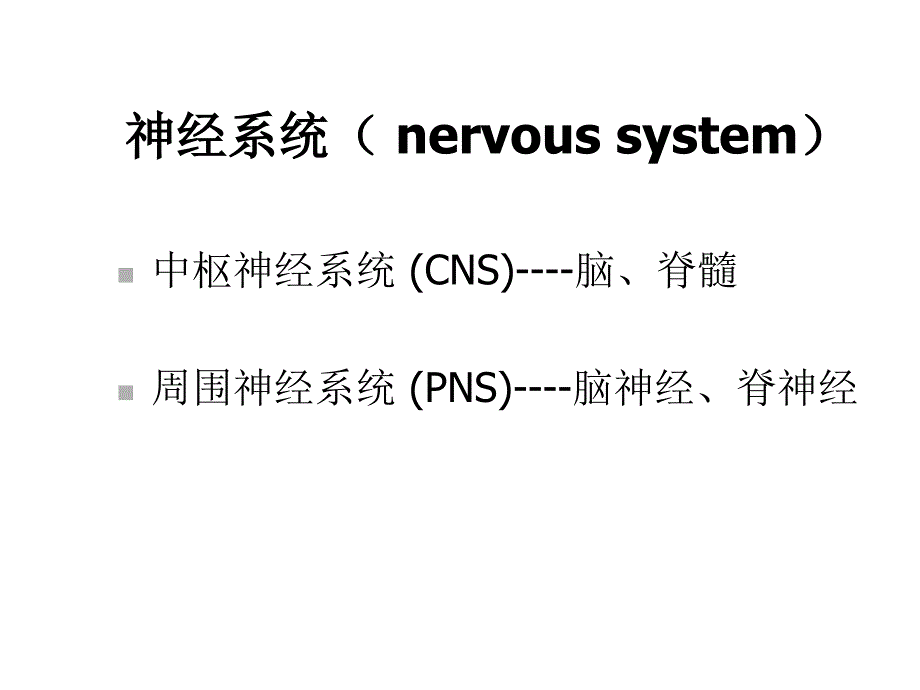 神-经-病-学绪论课件_第3页