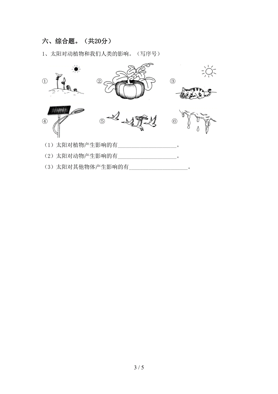 2022年人教版二年级科学上册期中考试题附答案.doc_第3页