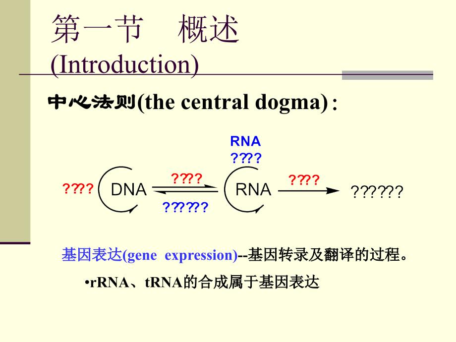 基因表达的调控ControlofGeneExpression_第2页