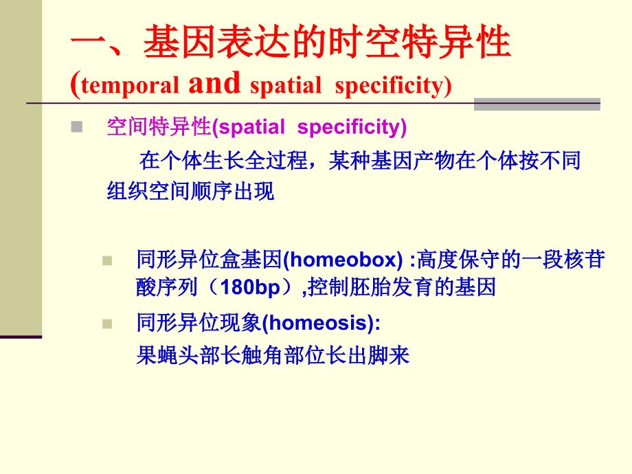 基因表达的调控ControlofGeneExpression_第4页