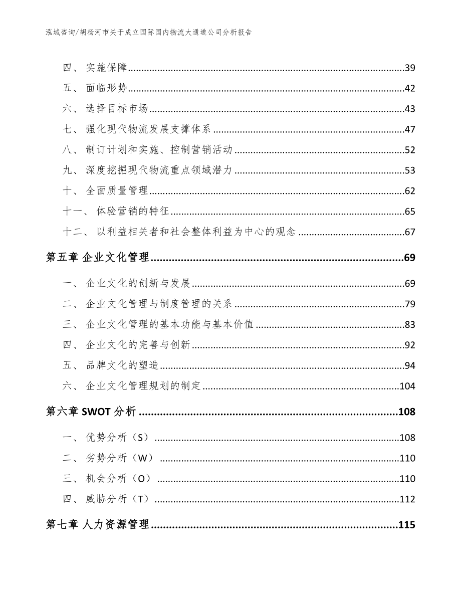 胡杨河市关于成立国际国内物流大通道公司分析报告参考范文_第3页