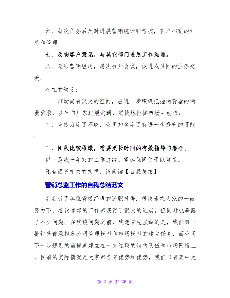 营销总监的自我总结.doc_第2页