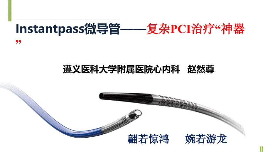 Instantpass微导管冠脉介绍年会专业材料_第1页