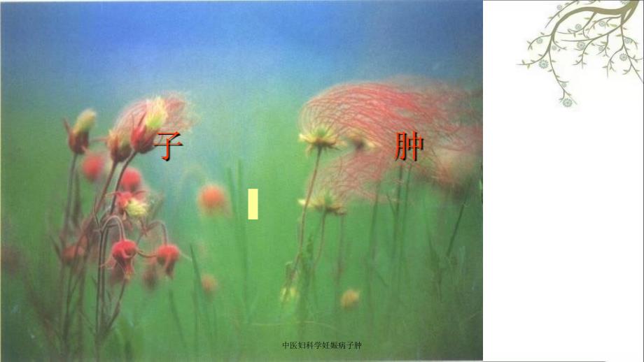 中医妇科学妊娠病子肿_第1页