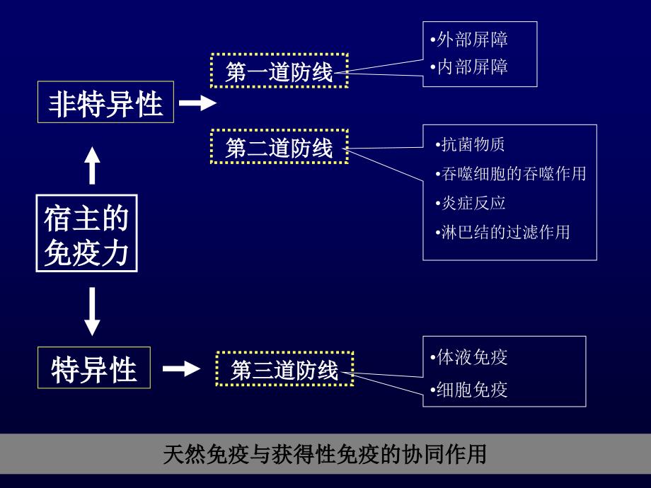 第七章抗细菌感染免疫_第2页