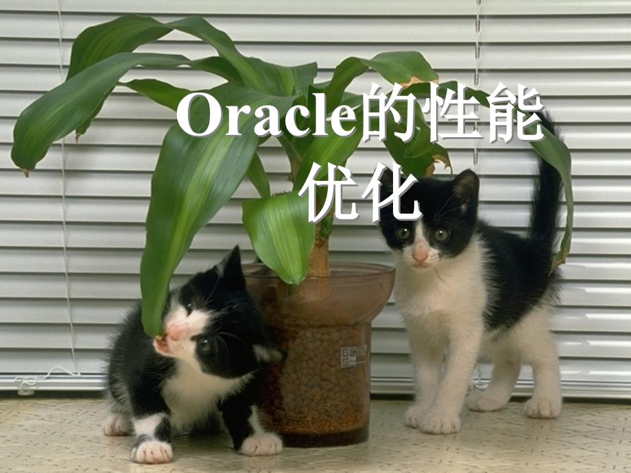 Oracle的性能优化_第1页