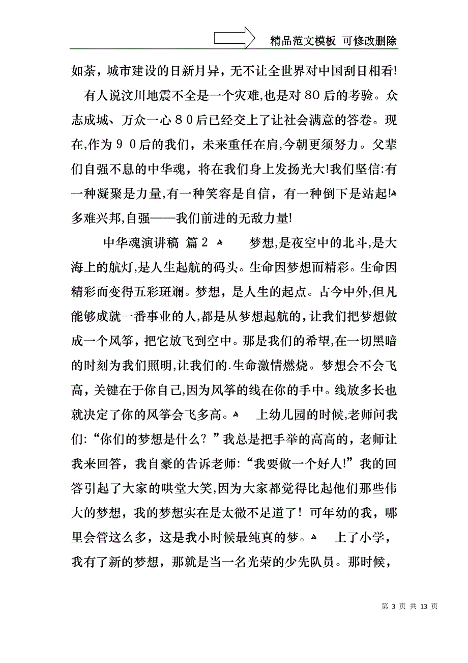 中华魂演讲稿模板集锦6篇_第3页