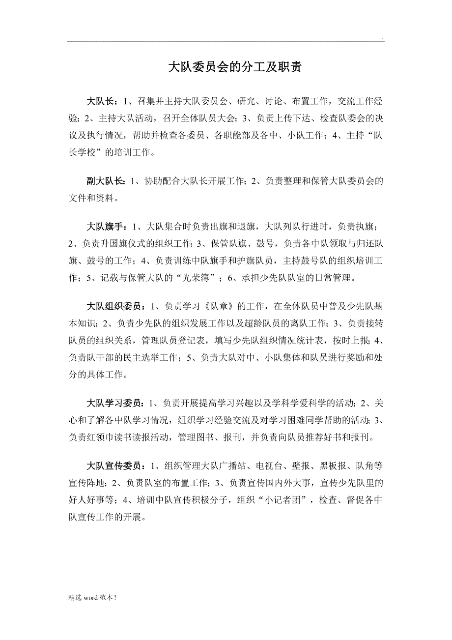 大队委员会的分工及职责.doc_第1页