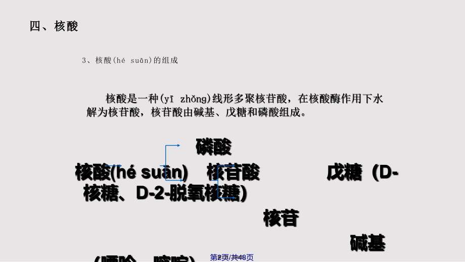 ch总生命的化学基础实用实用教案_第2页