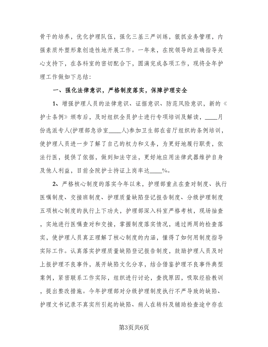 2023年护理部工作总结例文（二篇）_第3页