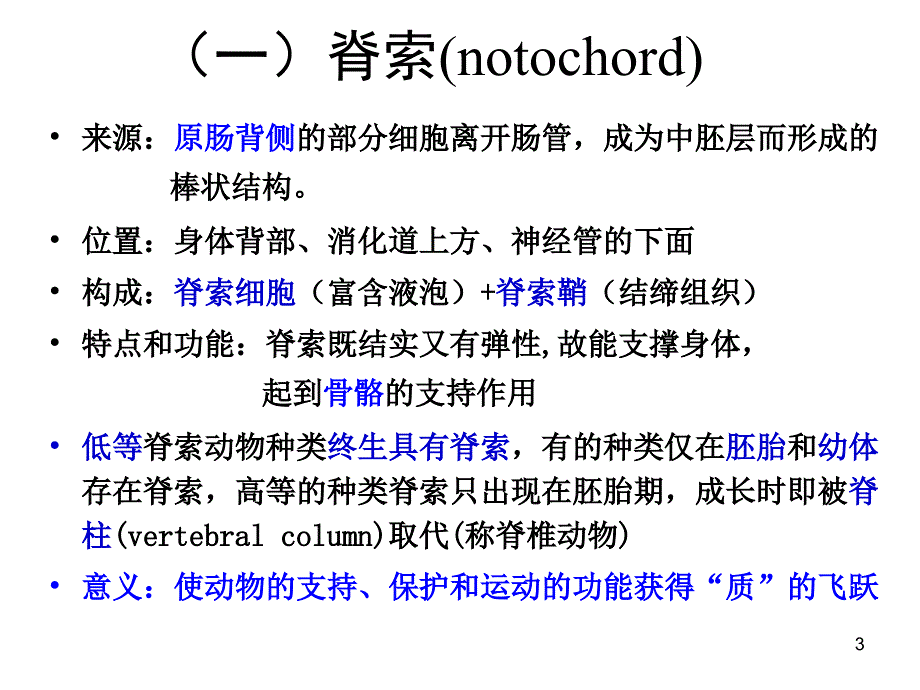 动物生物学 棘皮和半索动物门_第3页