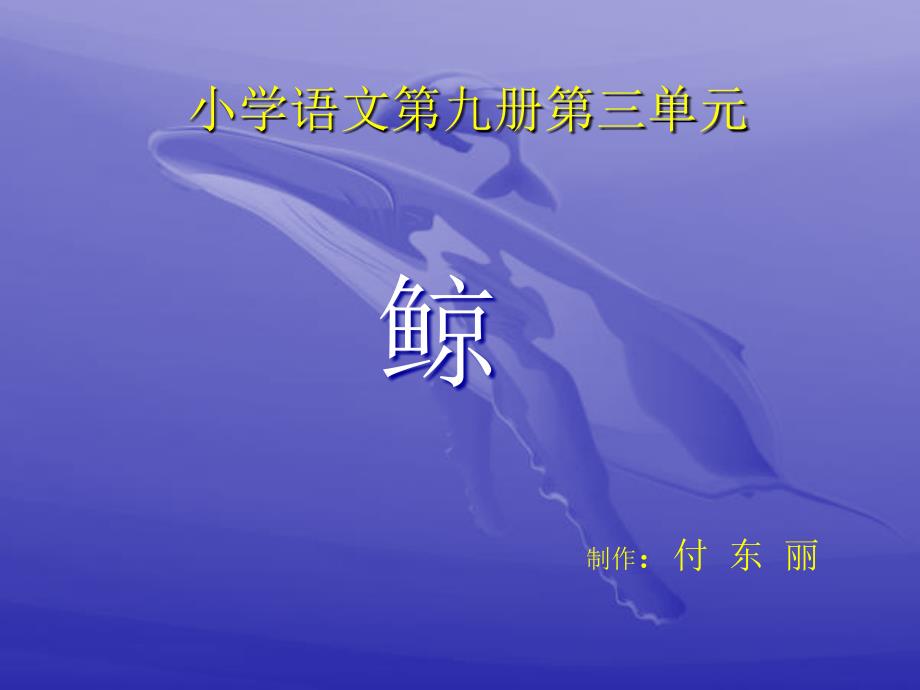 《鲸》教学课件_第1页