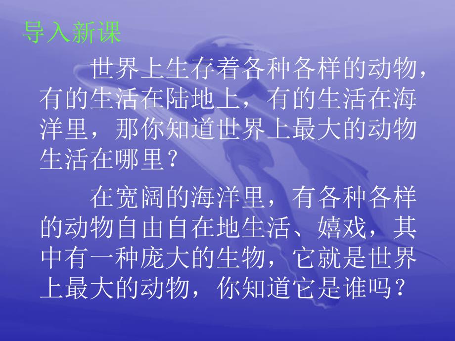 《鲸》教学课件_第2页