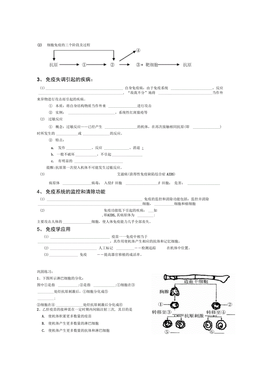 导学案免疫调节含答案_第2页