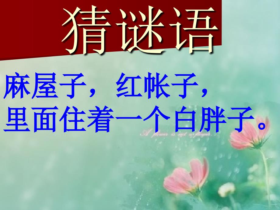 果实是怎样形成的_第2页