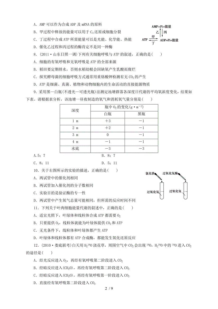 高三生物第一次月考试题_第2页