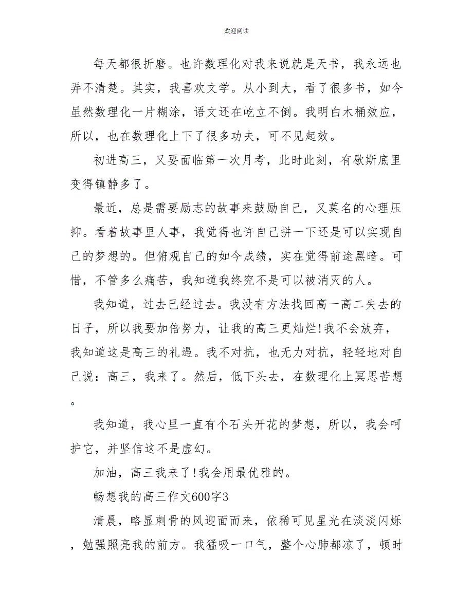 畅想我的高三作文600字_第4页