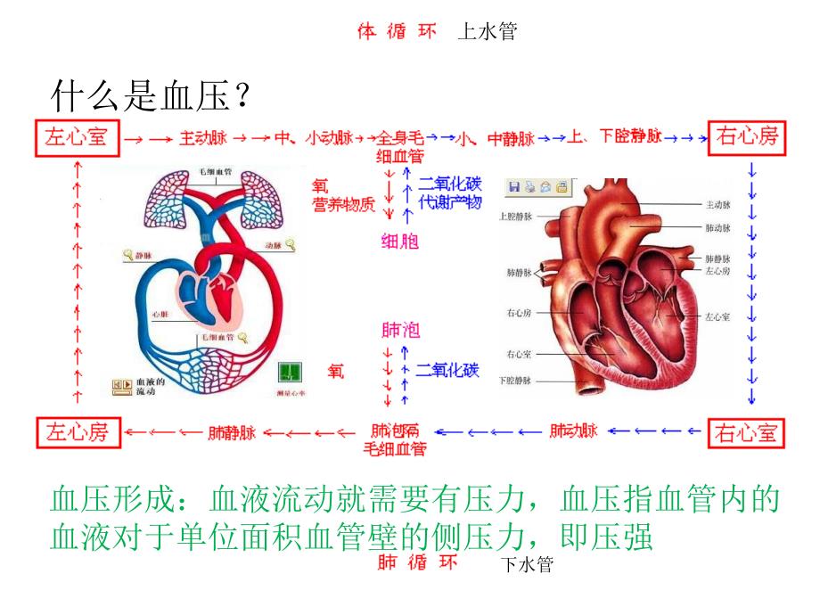 高血压健康教育讲座三PPT课件_第4页