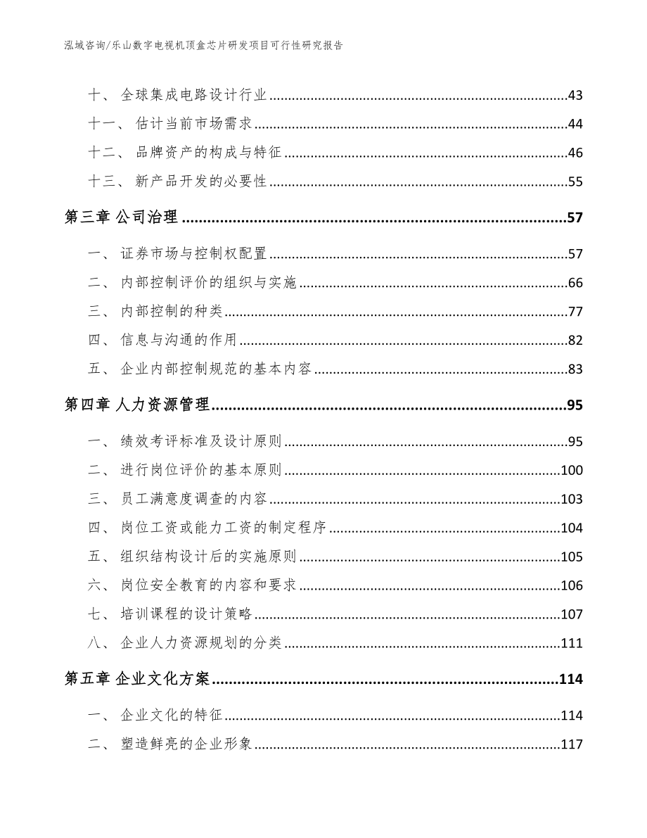 乐山数字电视机顶盒芯片研发项目可行性研究报告（模板）_第2页