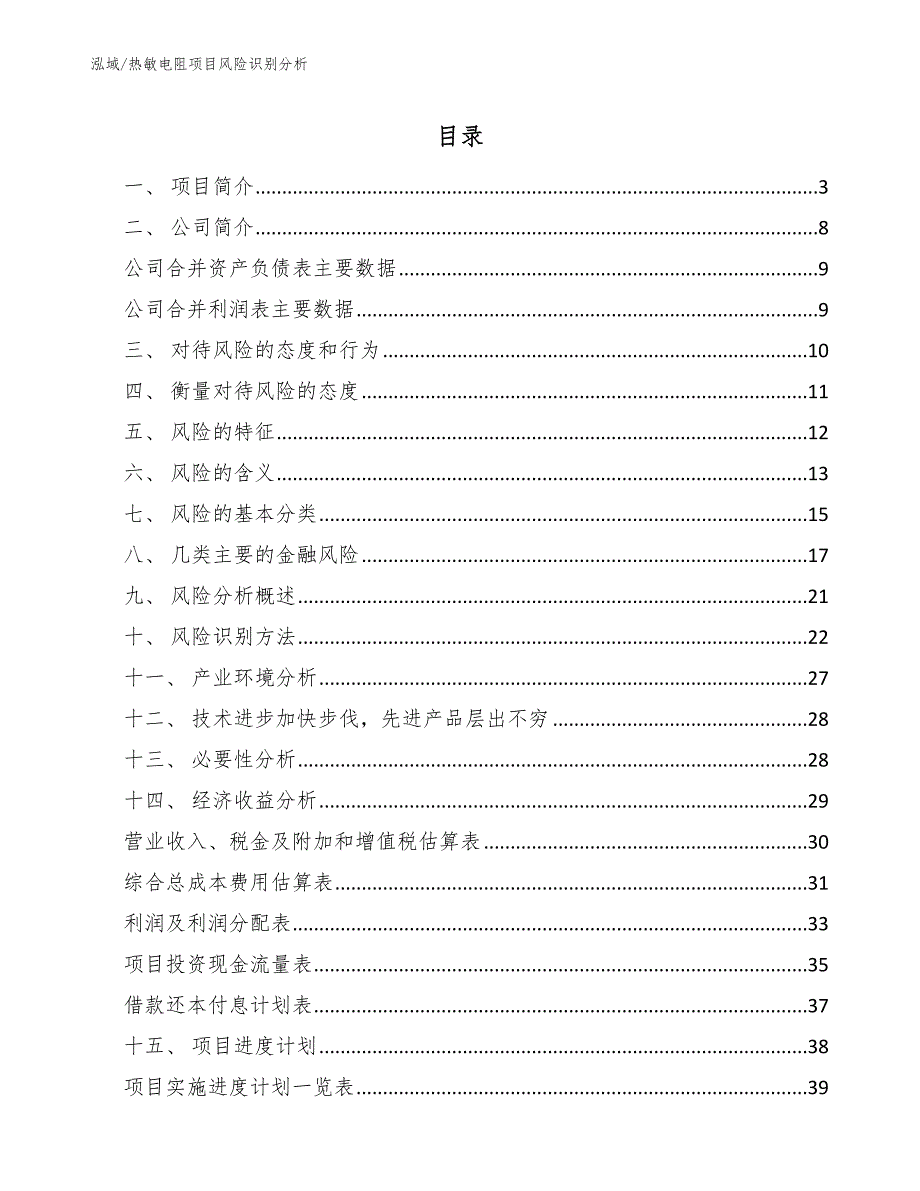 热敏电阻项目风险识别分析_参考_第2页