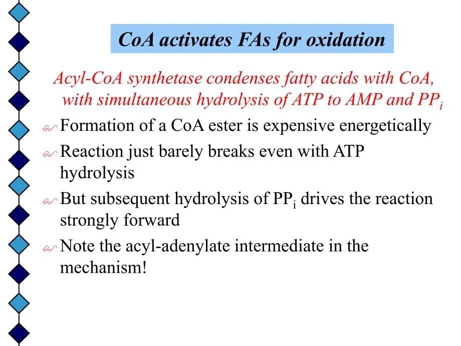 生物化学原理课件（英文）：Chapter29 FFA metabolism_第5页