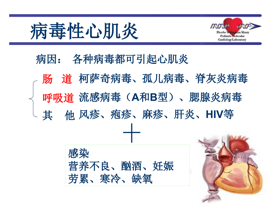 病毒性心肌炎教学要求_第4页