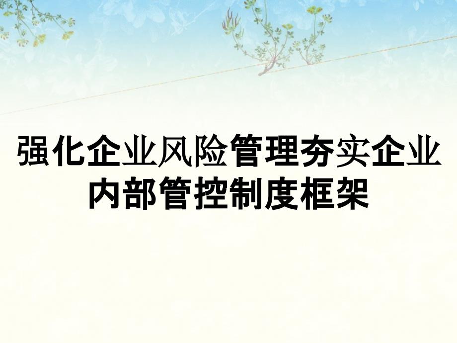 强化企业风险管理夯实企业内部管控制度框架_第1页