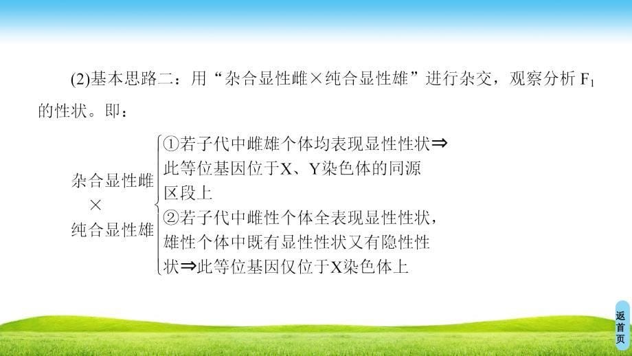 18-19 第2章 微专题突破4判断基因位置的相关实验_第5页