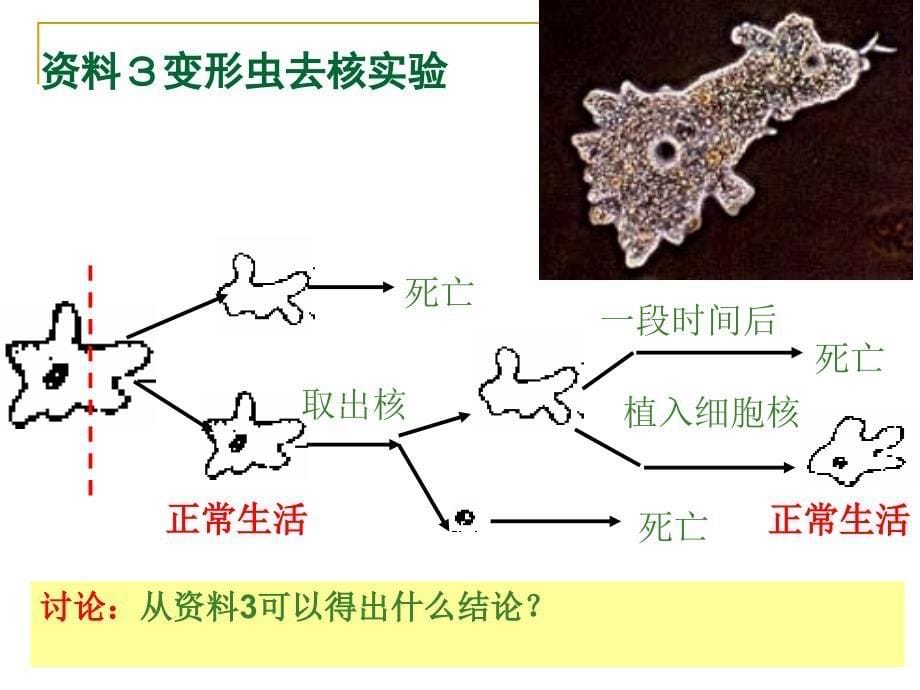 同学们好老师们好_第5页