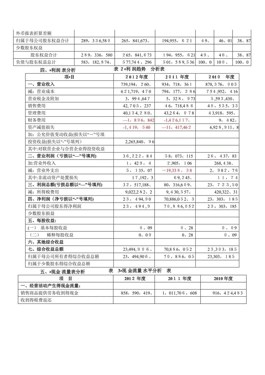 财务报表分析.doc_第5页