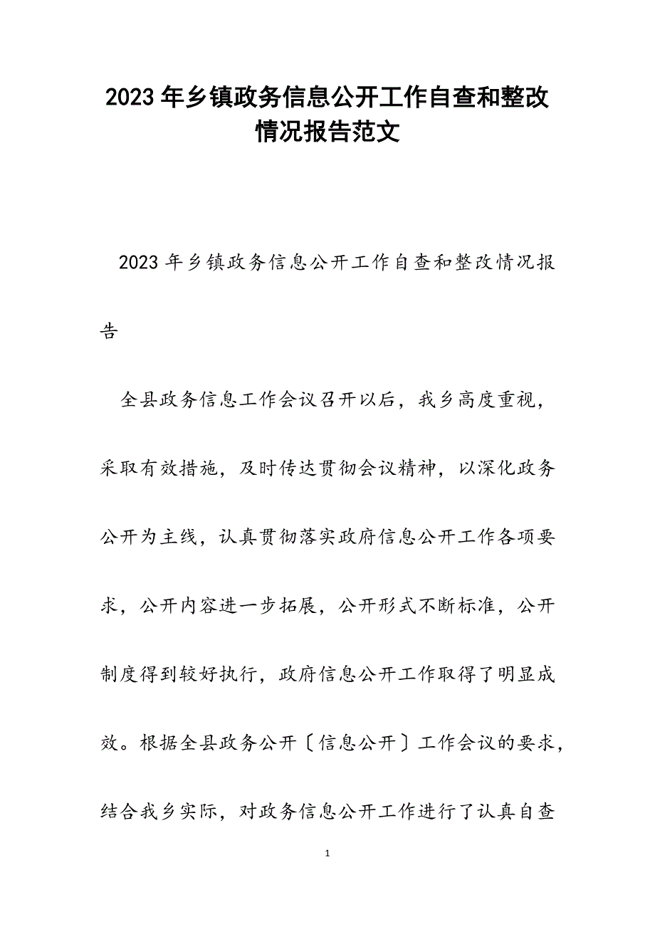 2023年乡镇政务信息公开工作自查和整改情况报告.docx_第1页