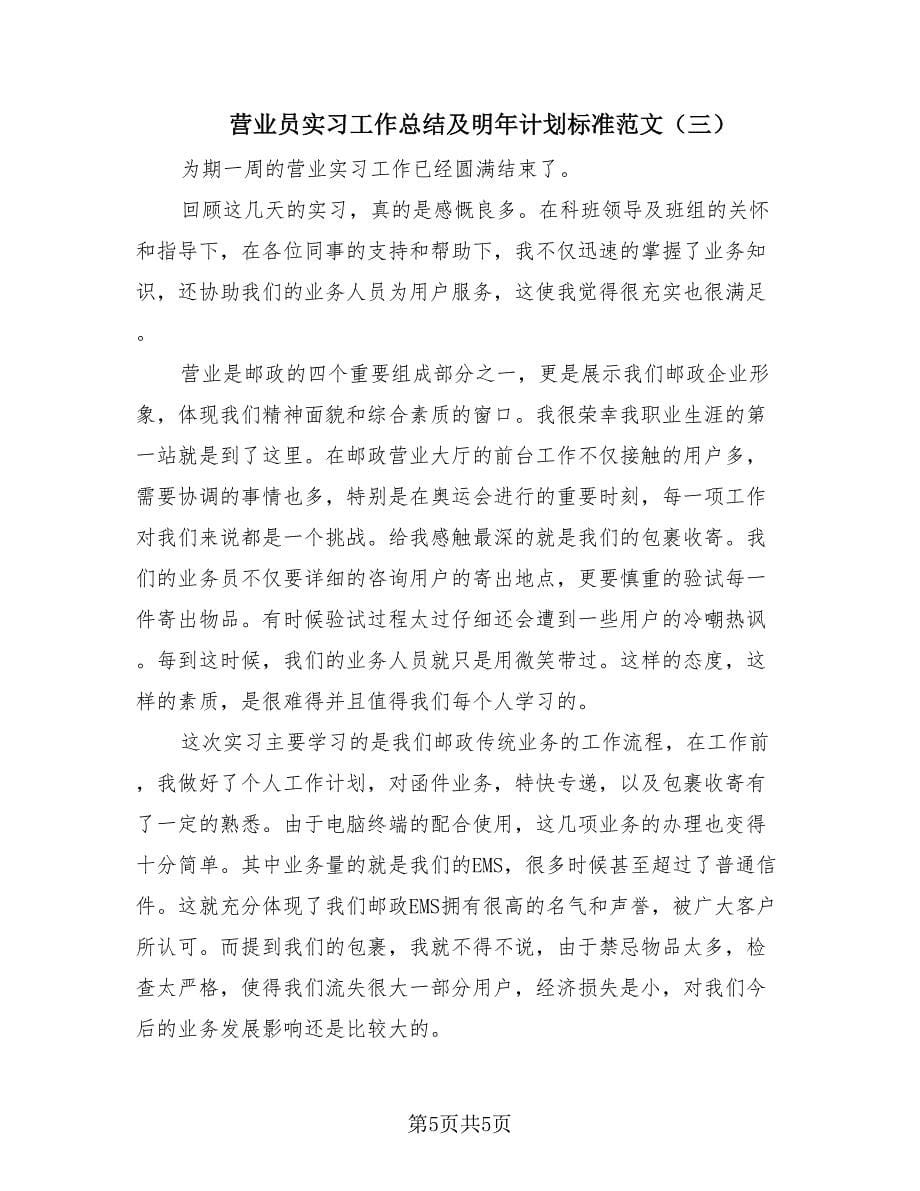 营业员实习工作总结及明年计划标准范文（3篇）.doc_第5页