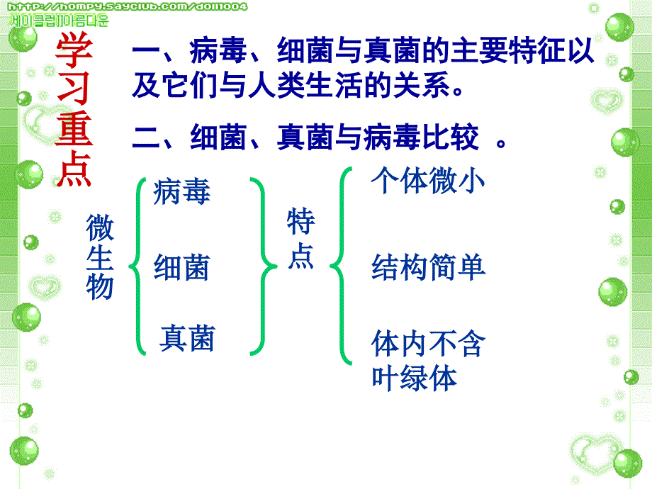 细菌、真菌和病毒.ppt_第2页