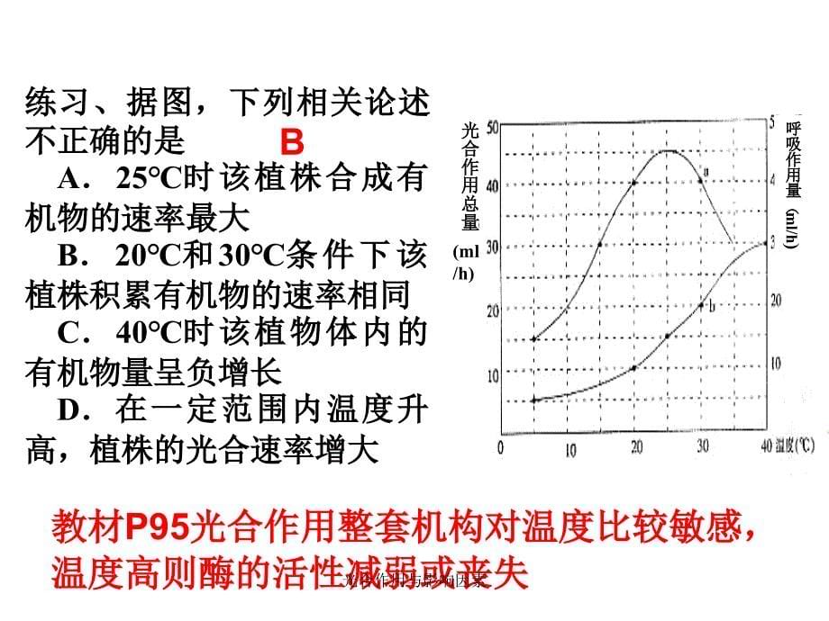 光合作用与影响因素课件_第5页