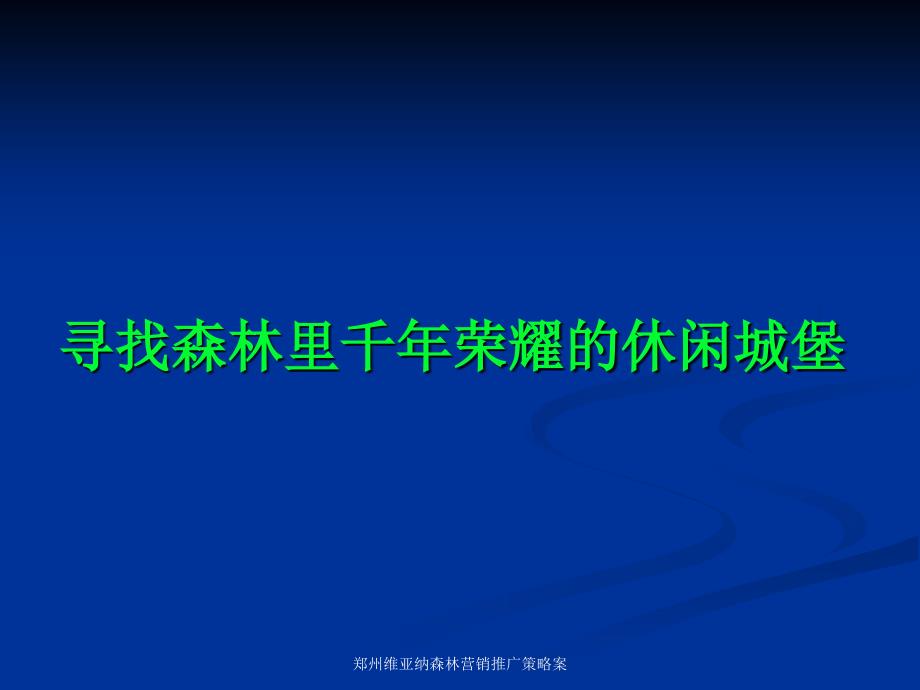 郑州维亚纳森林营销推广策略案课件_第2页