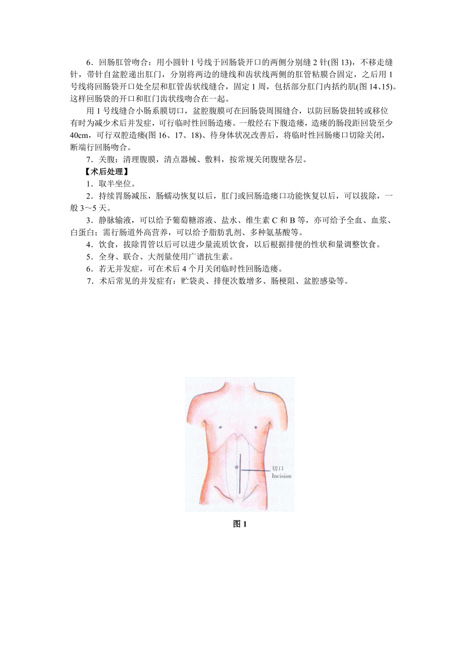 回肠、肛管吻合术.doc_第2页