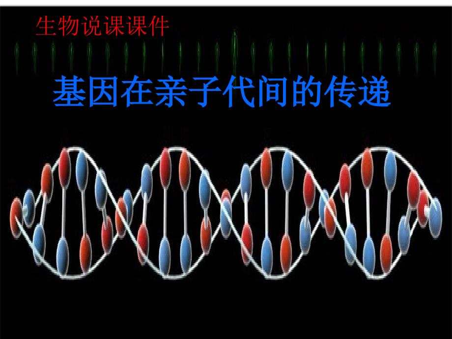 基因在亲子代间的传递PPT课件14(说课)_第1页