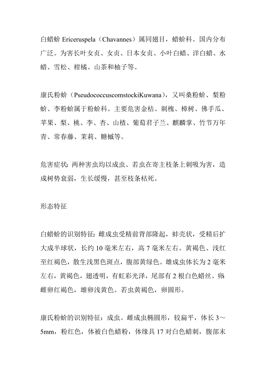 金叶女贞如何防护.doc_第4页