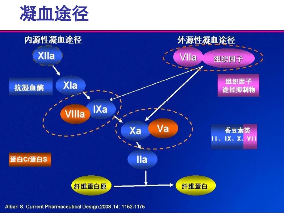 凝血系统的个体化用药探讨_第4页