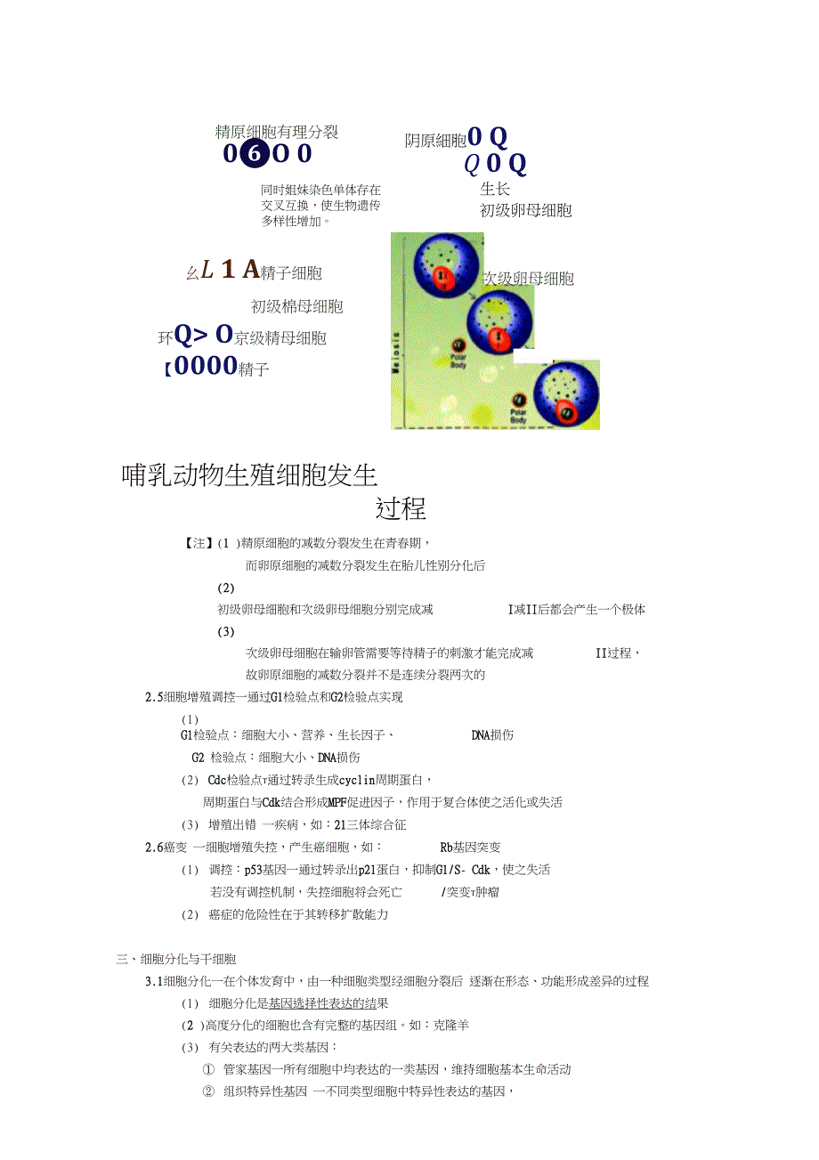 细胞的命运笔记_第3页