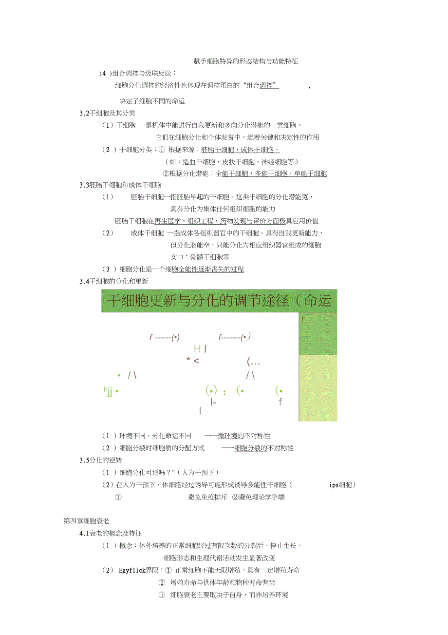 细胞的命运笔记_第4页