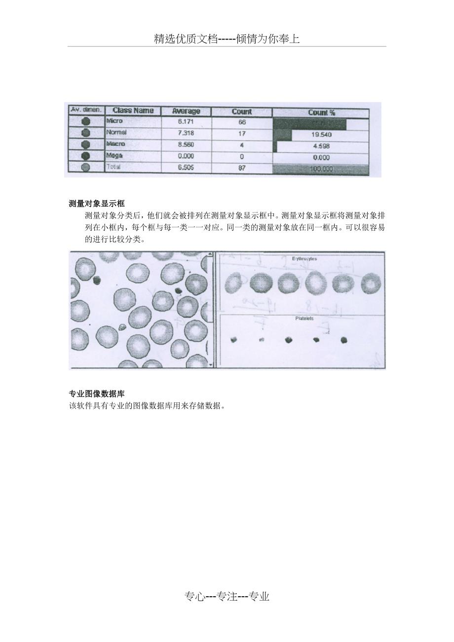 微核细胞心态学图象分析软件VIDE_第4页