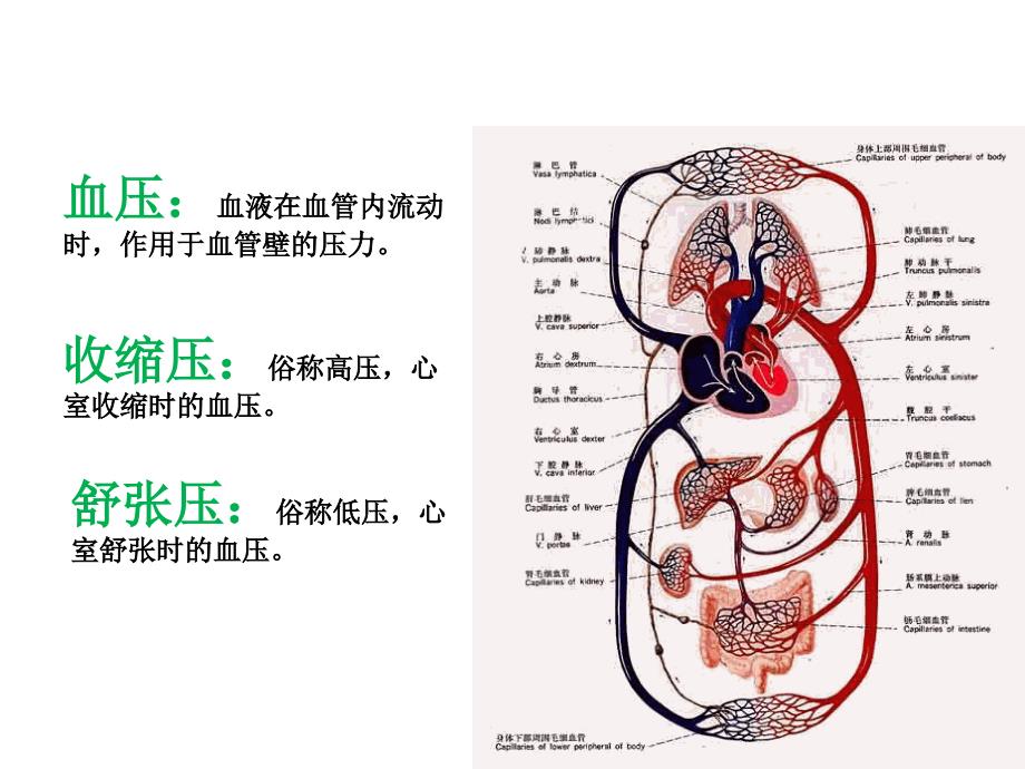 高血压中医保健及食疗_第4页