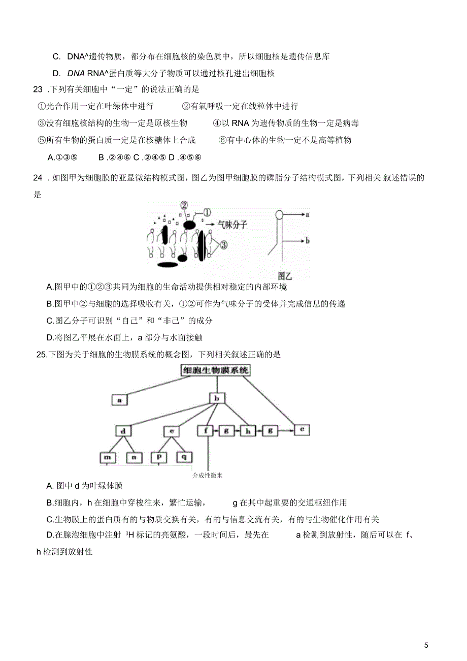 广东省汕头市金山中学_高一生物上学期期中试题_第5页