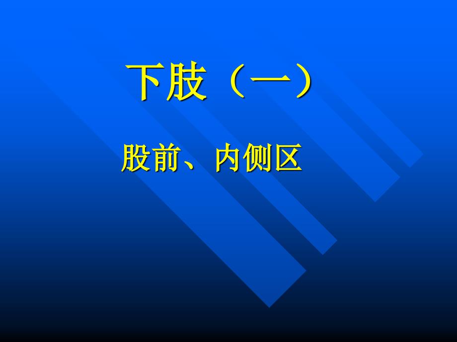 局部解剖学：下肢（一）_第1页