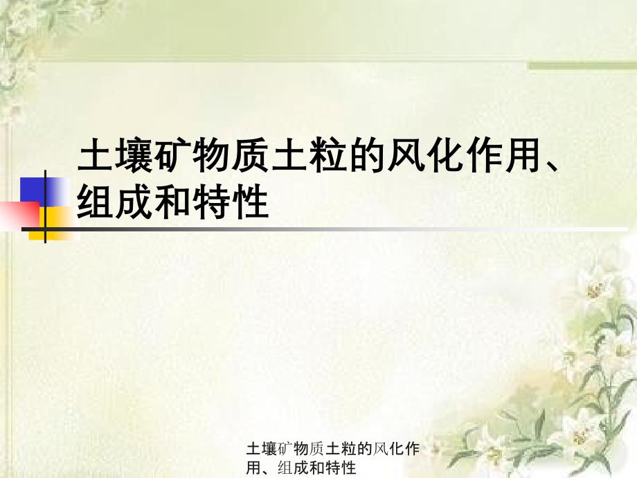 土壤矿物质土粒风化作用组成与特性课件_第1页